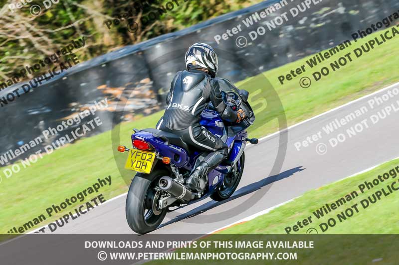 Oulton Park 20th March 2020;PJ Motorsport Photography 2020;anglesey;brands hatch;cadwell park;croft;donington park;enduro digital images;event digital images;eventdigitalimages;mallory;no limits;oulton park;peter wileman photography;racing digital images;silverstone;snetterton;trackday digital images;trackday photos;vmcc banbury run;welsh 2 day enduro